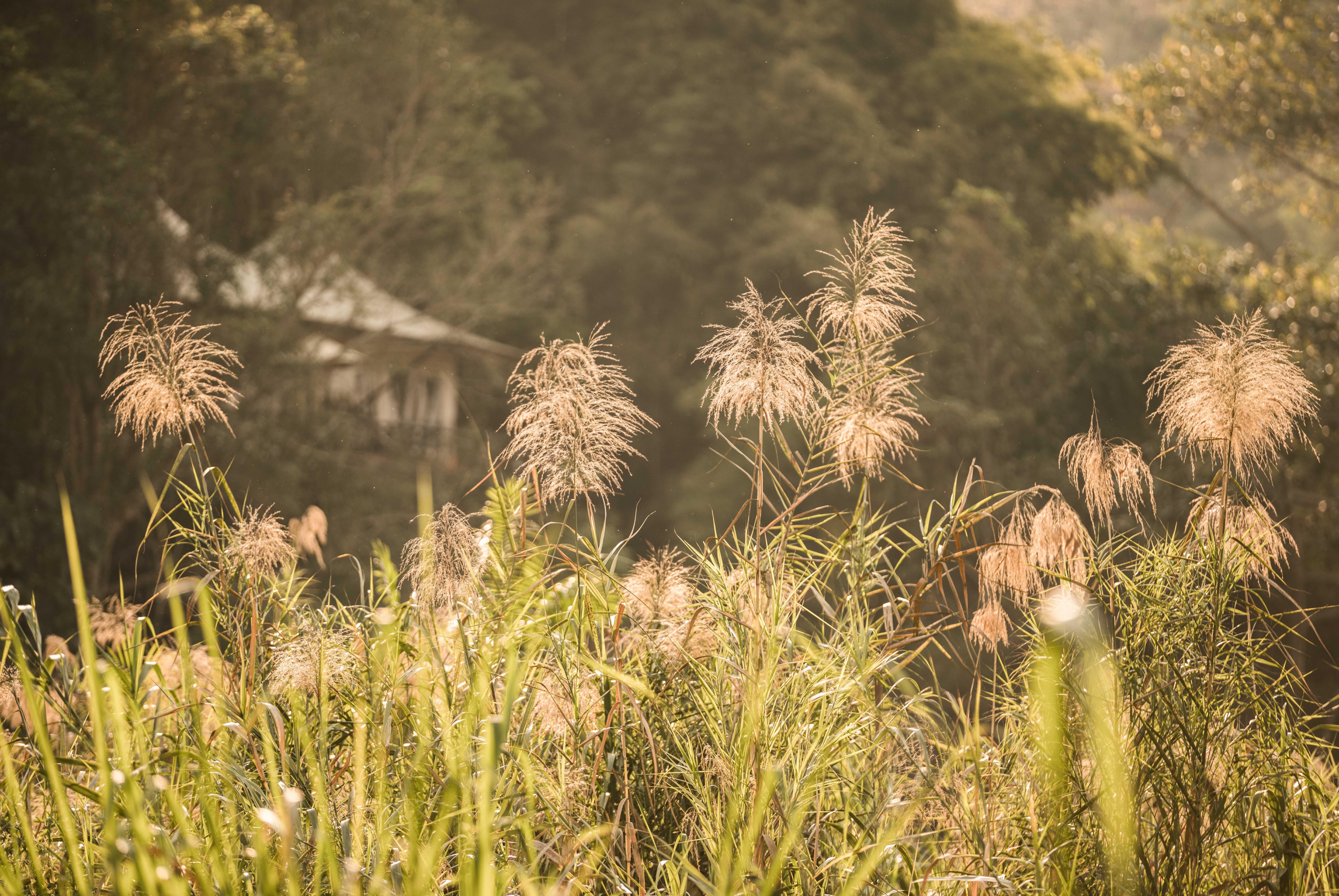 Four Seasons Tented Camp Triunghiul de Aur Exterior foto