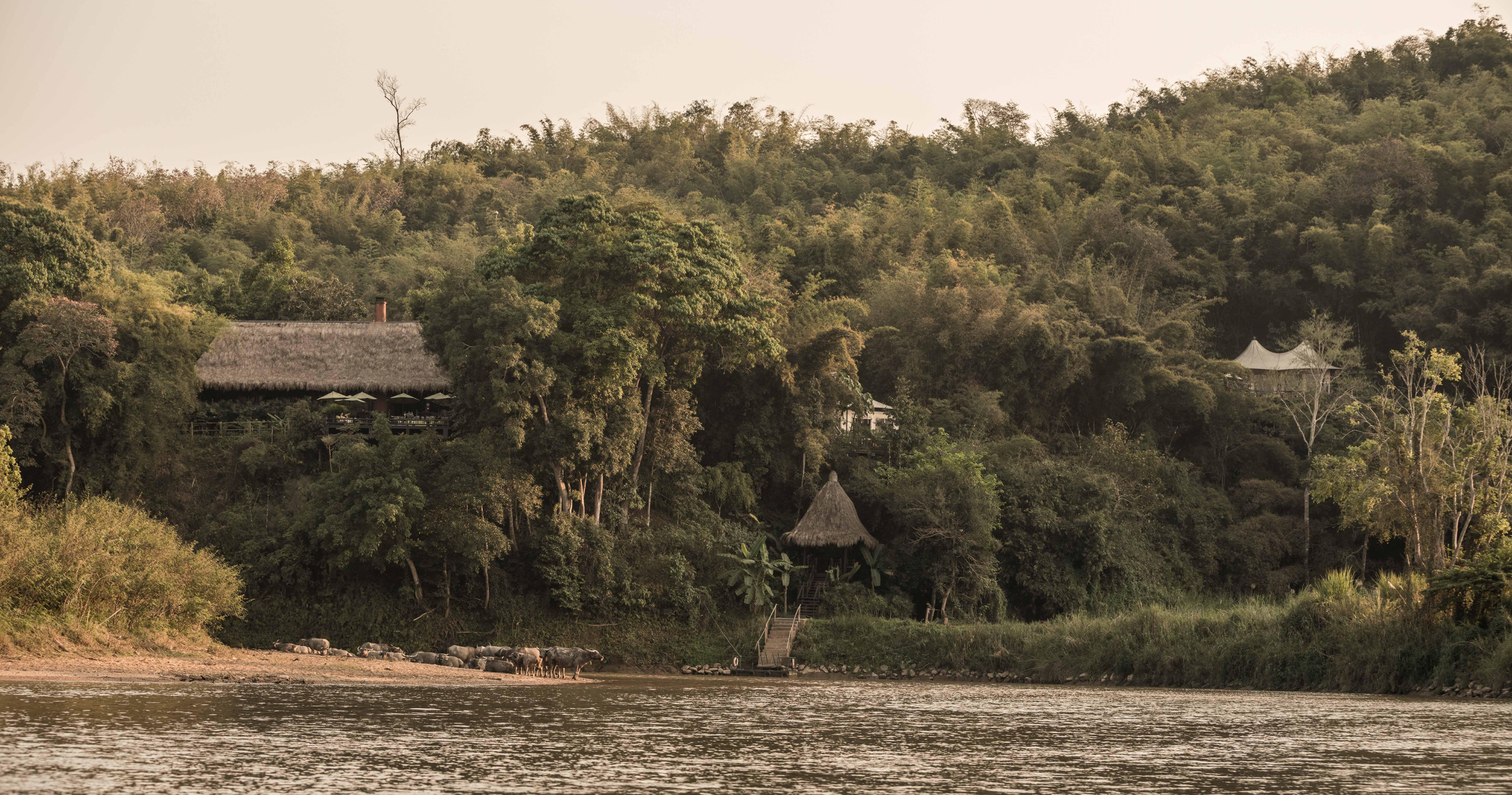Four Seasons Tented Camp Triunghiul de Aur Exterior foto