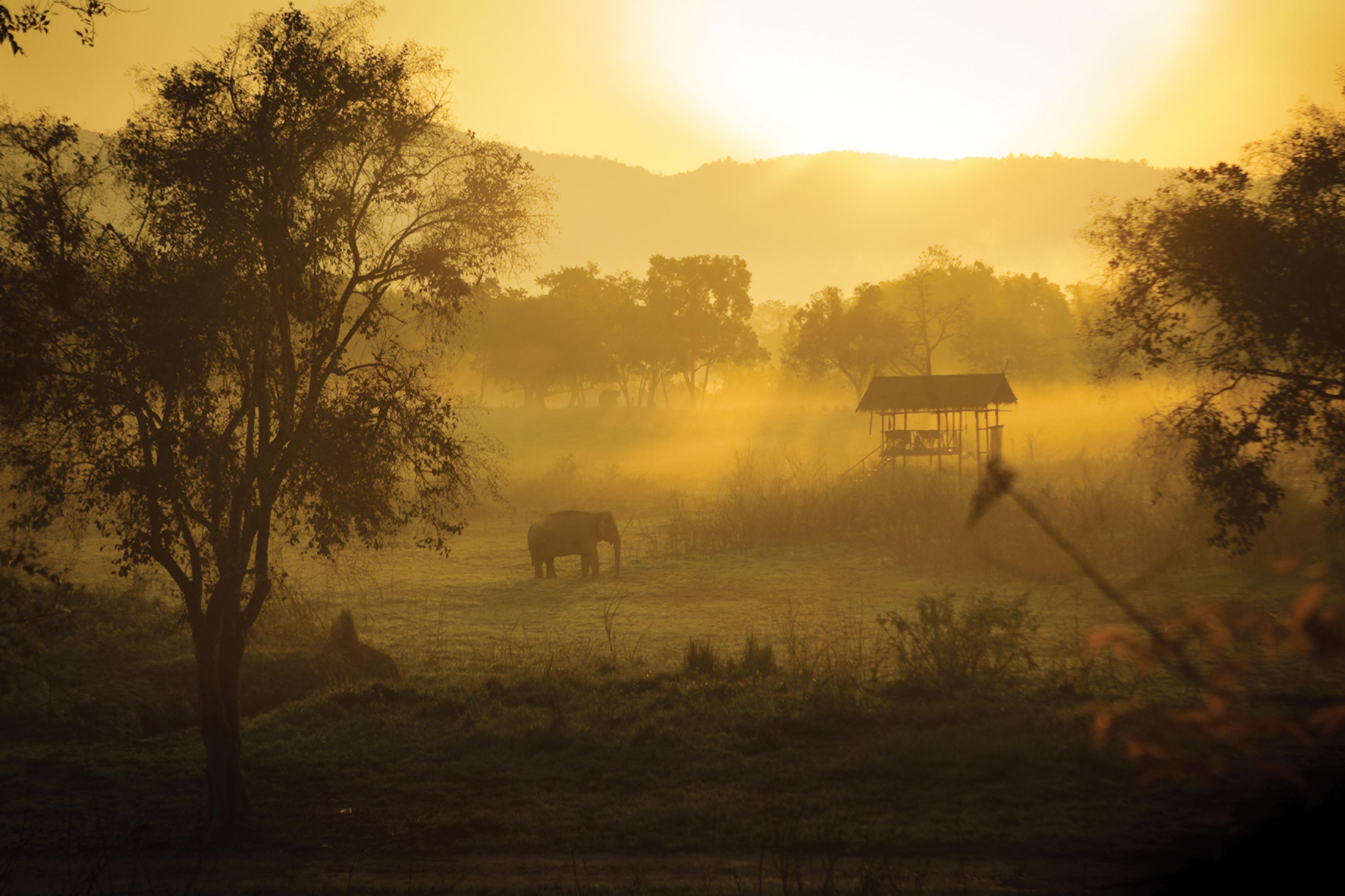 Four Seasons Tented Camp Triunghiul de Aur Exterior foto